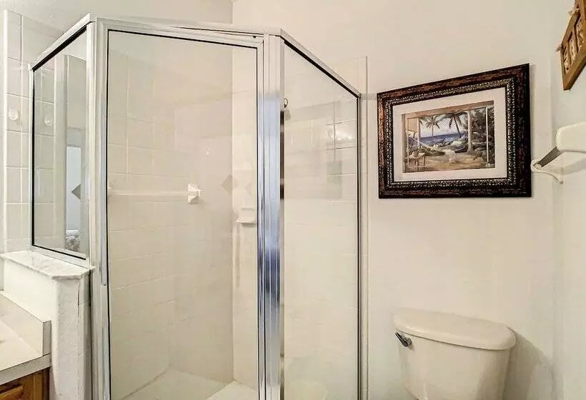 Silver Creek Sensation