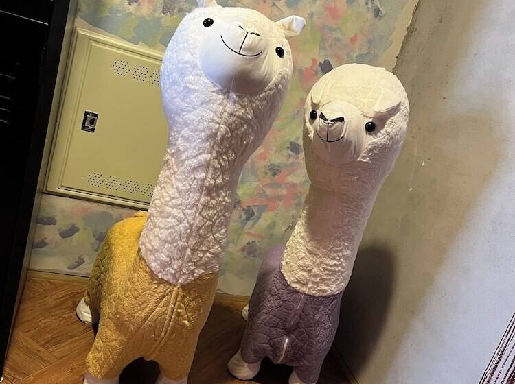 تختخواب و صبحانه A Ba Li Bi Duck Homsestay