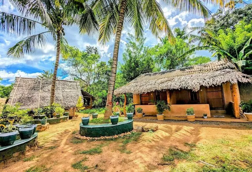 تختخواب و صبحانه Maika Safari Lodge