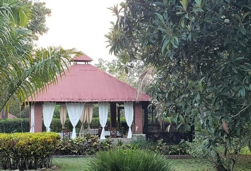 تختخواب و صبحانه Rancho Pino Y Sol