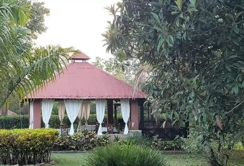 تختخواب و صبحانه Rancho Pino Y Sol