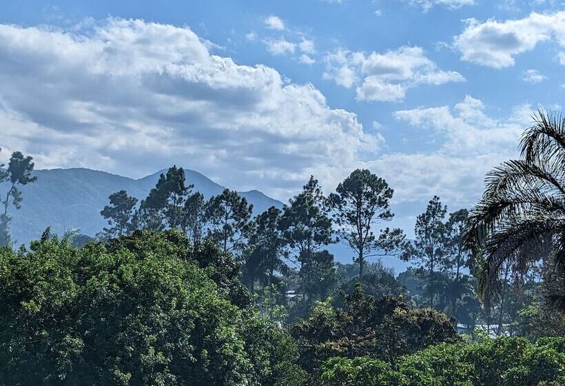 تختخواب و صبحانه Rancho Pino Y Sol