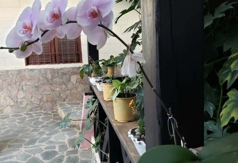 تختخواب و صبحانه Rancho Pino Y Sol