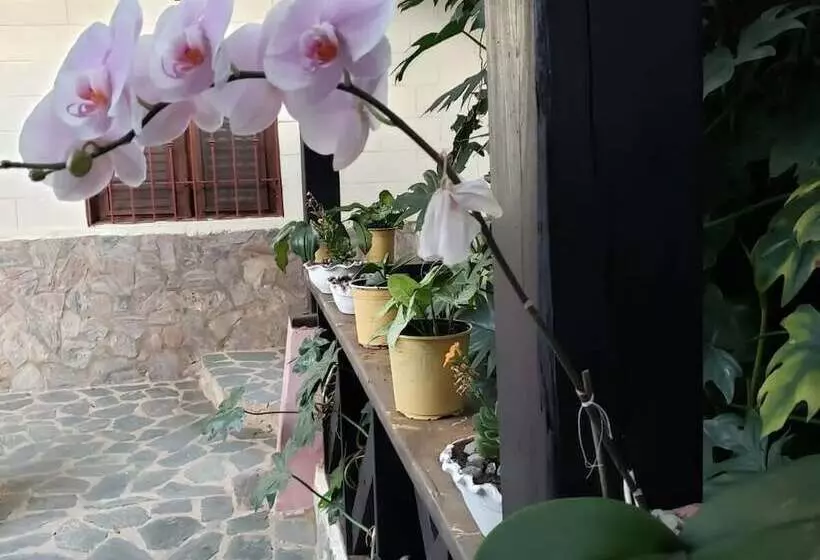 تختخواب و صبحانه Rancho Pino Y Sol