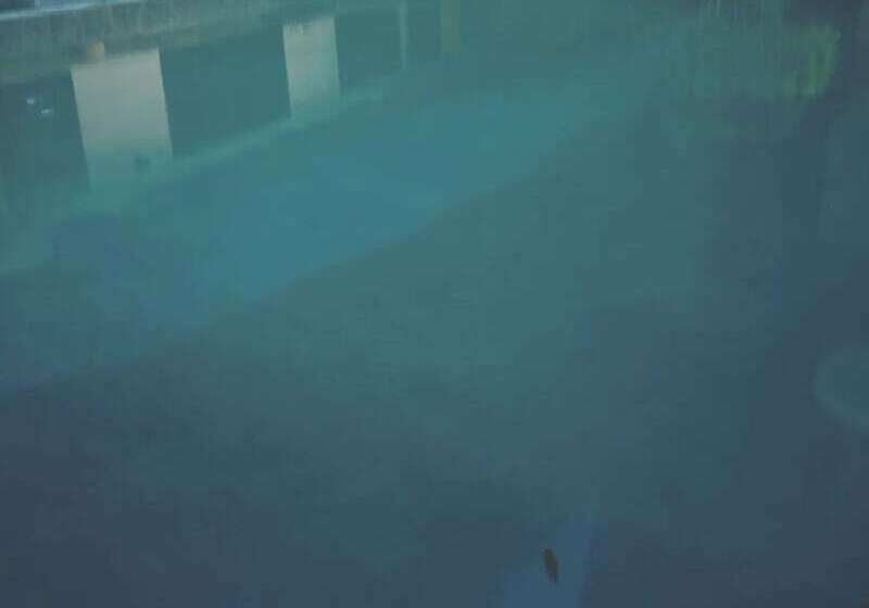 تختخواب و صبحانه Rancho Pino Y Sol