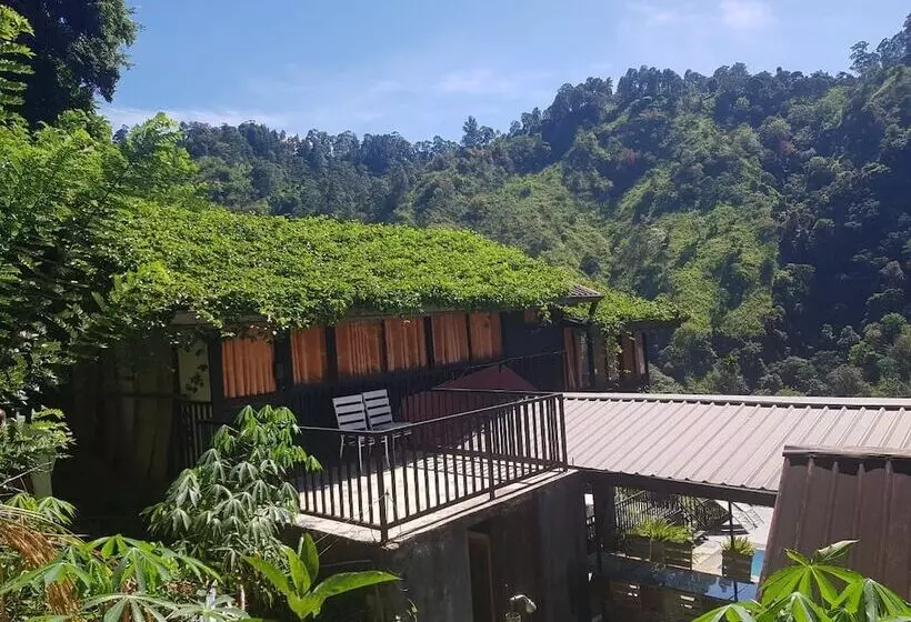 Ella Deck Resort