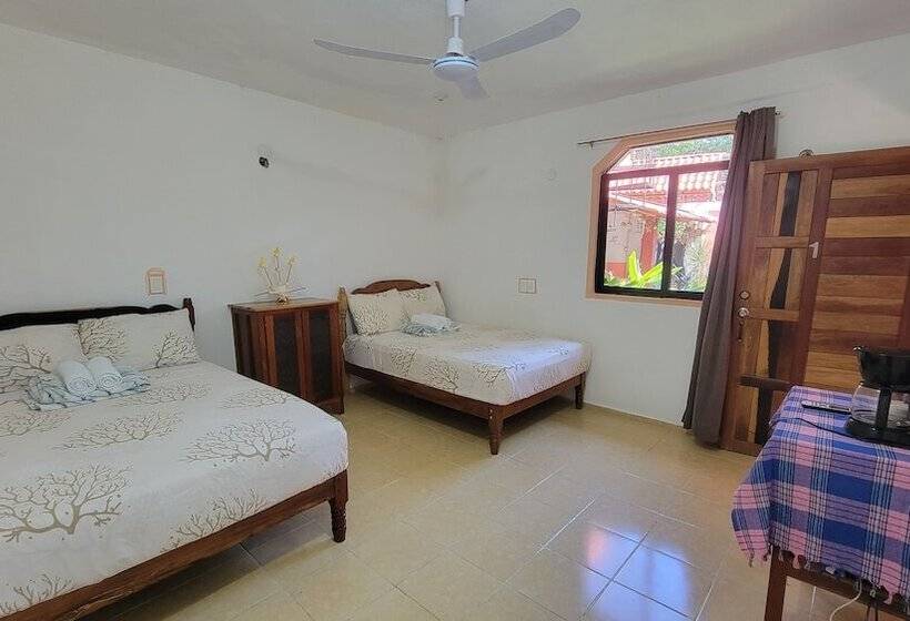 ホテル Casa Coral