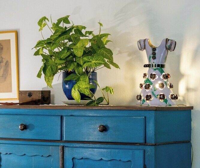 Отель Pousada Ronco Do Bugio