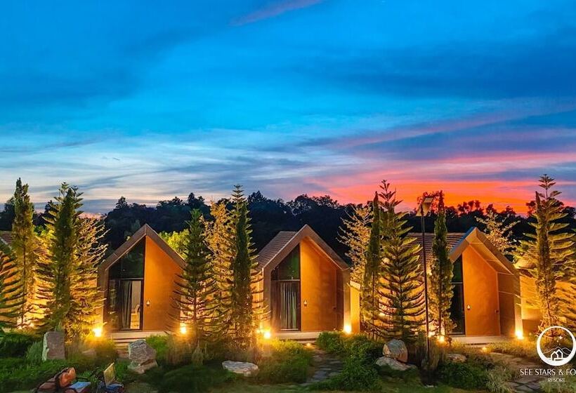 See Stars & Forest Resort
