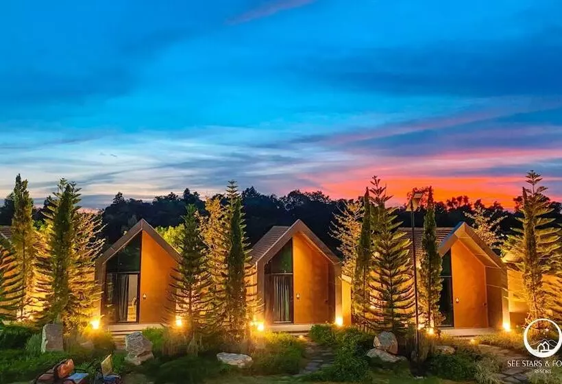 See Stars & Forest Resort