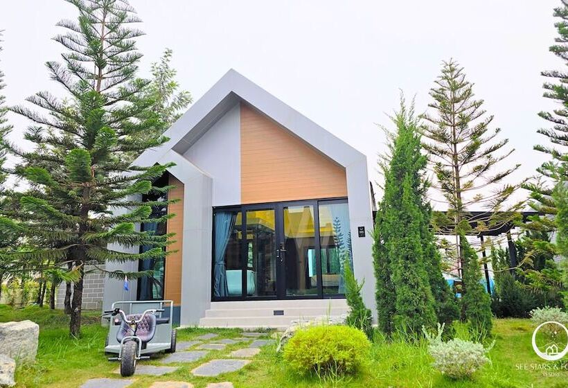 See Stars & Forest Resort