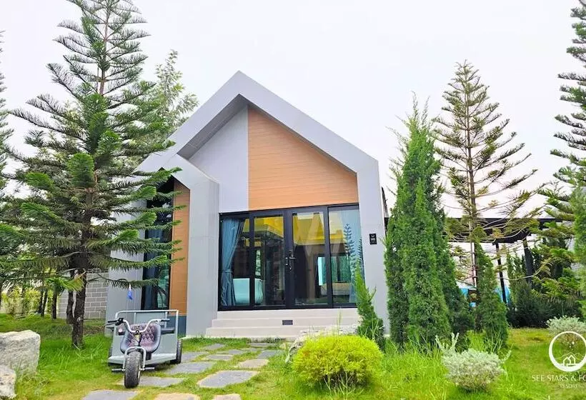 See Stars & Forest Resort