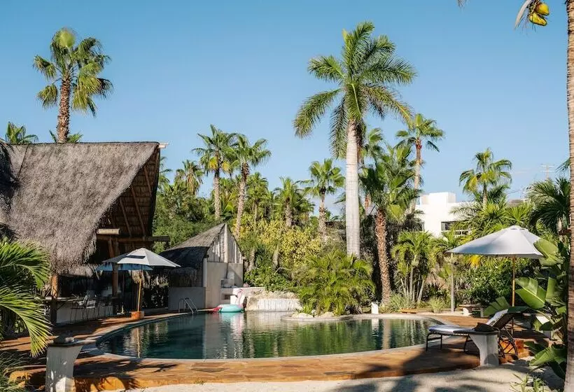 La Poza Boutique Hotel & Spa   Adults Only