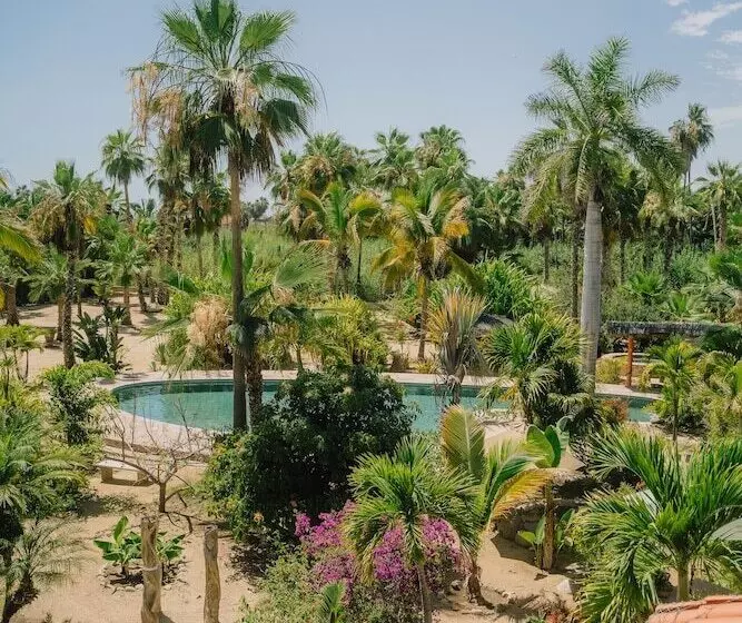 La Poza Boutique Hotel & Spa   Adults Only