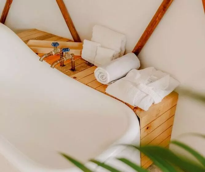 La Poza Boutique Hotel & Spa   Adults Only