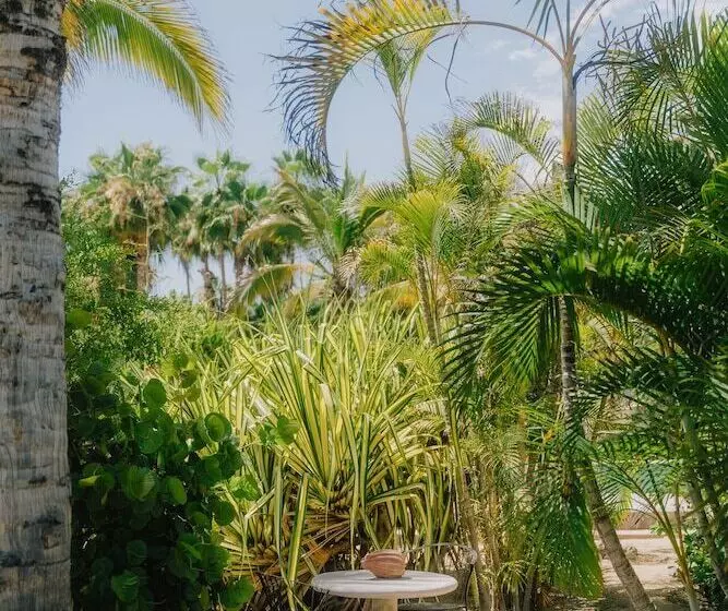 La Poza Boutique Hotel & Spa   Adults Only