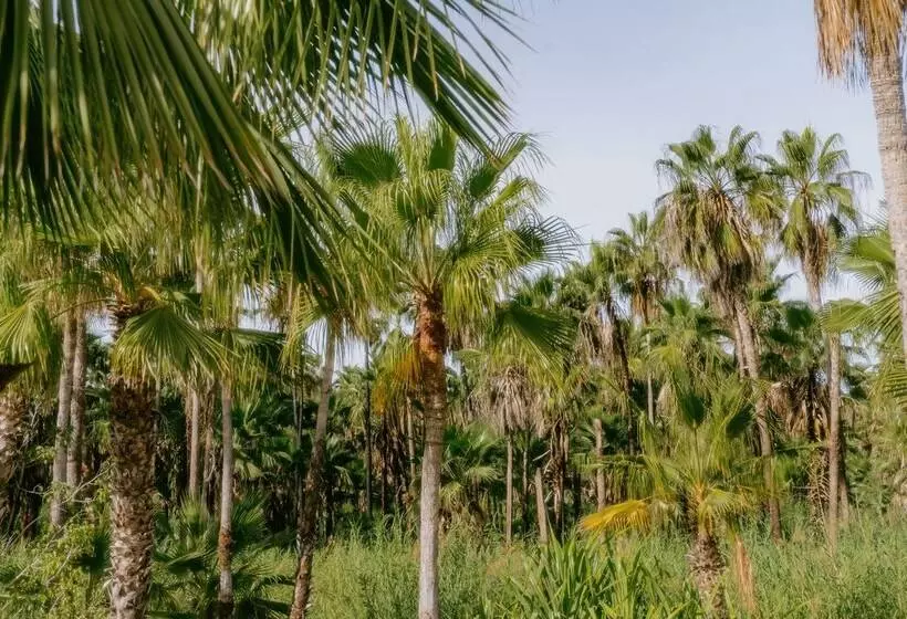 La Poza Boutique Hotel & Spa   Adults Only