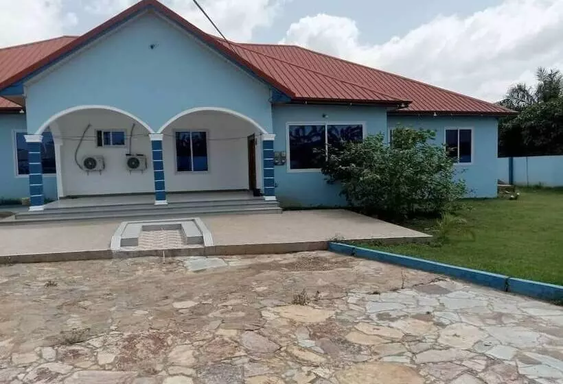 ホテル Dexxy's Palace