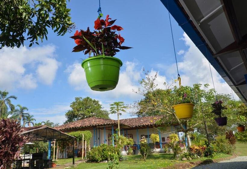 Balsora Hotel Boutique