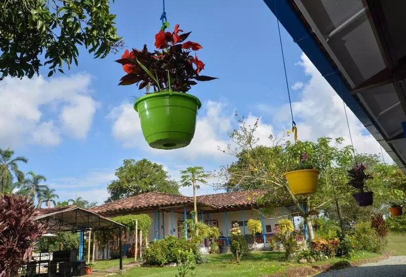 Balsora Hotel Boutique