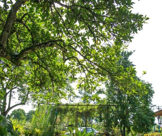 Balsora Hotel Boutique