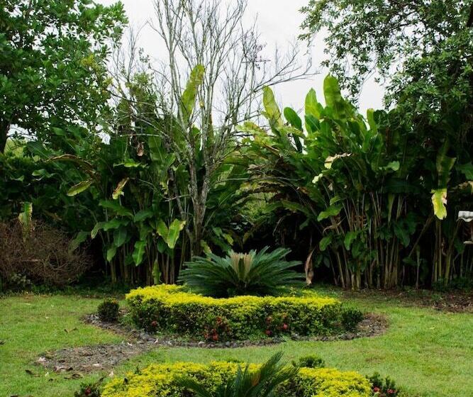 Balsora Hotel Boutique