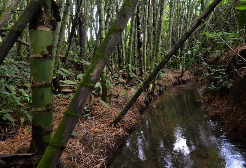 Balsora Hotel Boutique