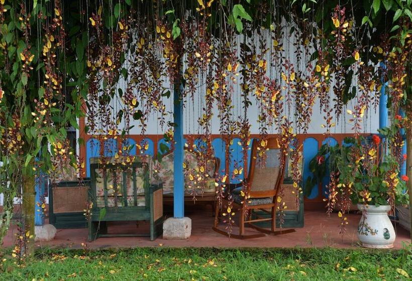 Balsora Hotel Boutique