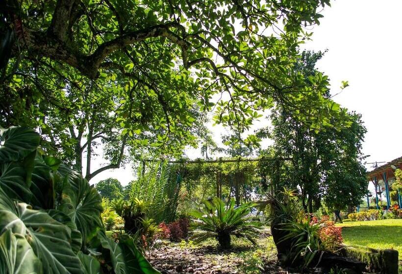 Balsora Hotel Boutique