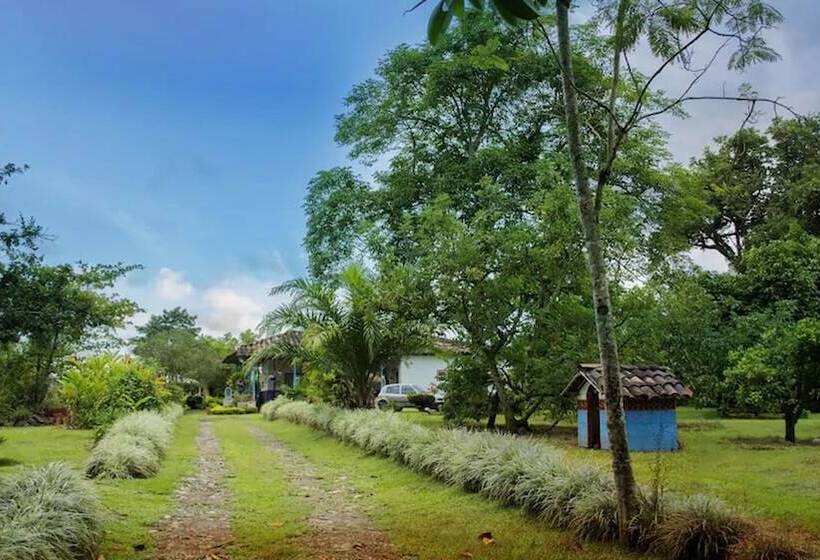 Balsora Hotel Boutique