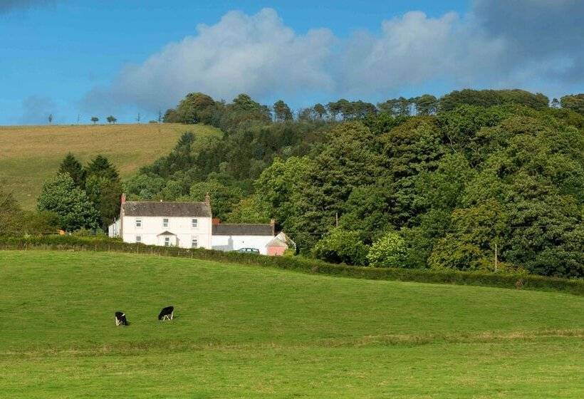 Bed and Breakfast Bishopcleugh Guest House