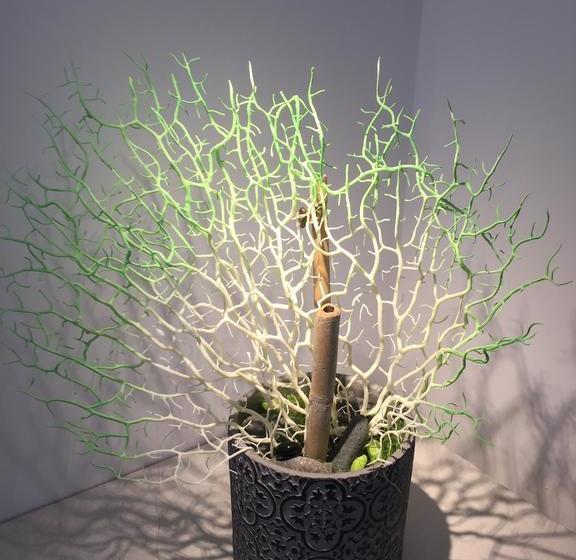 تختخواب و صبحانه Le Nereidi