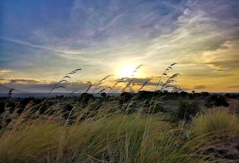 Отель Alba Tulamben