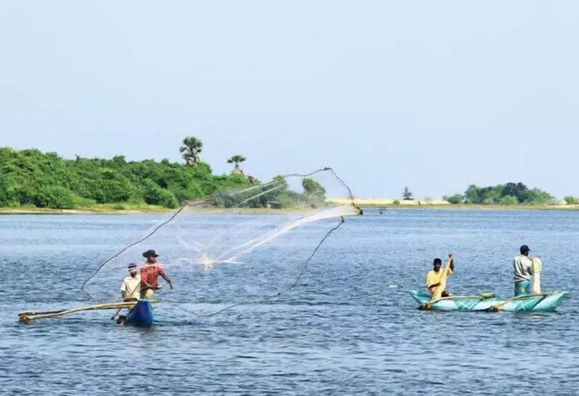 Sunnyfish Hotel & Resort