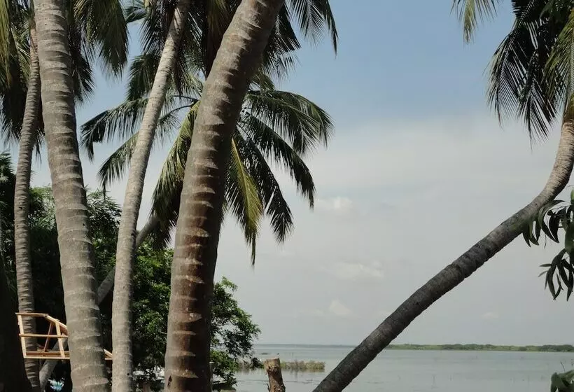 Sunnyfish Hotel & Resort