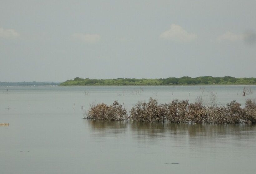 Sunnyfish Hotel & Resort