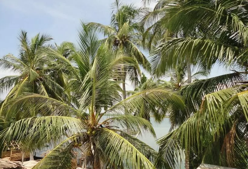 Sunnyfish Hotel & Resort