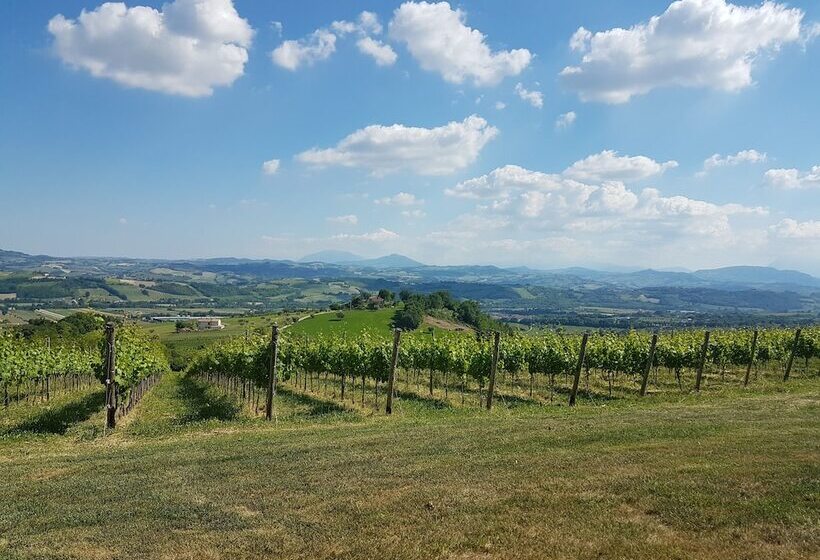 渡假胜地  Officina Del Sole