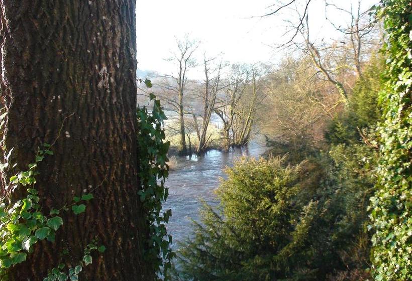 Aamiaismajoitus (B&B) Teifi Riverbank At Glas Y Dorlan