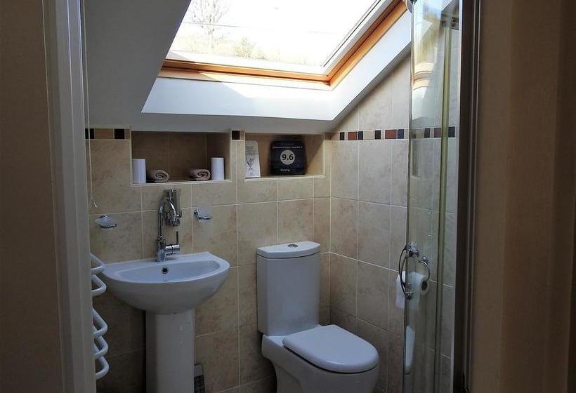 Aamiaismajoitus (B&B) Teifi Riverbank At Glas Y Dorlan