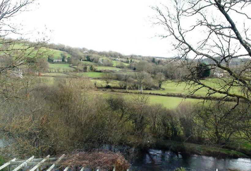 Aamiaismajoitus (B&B) Teifi Riverbank At Glas Y Dorlan