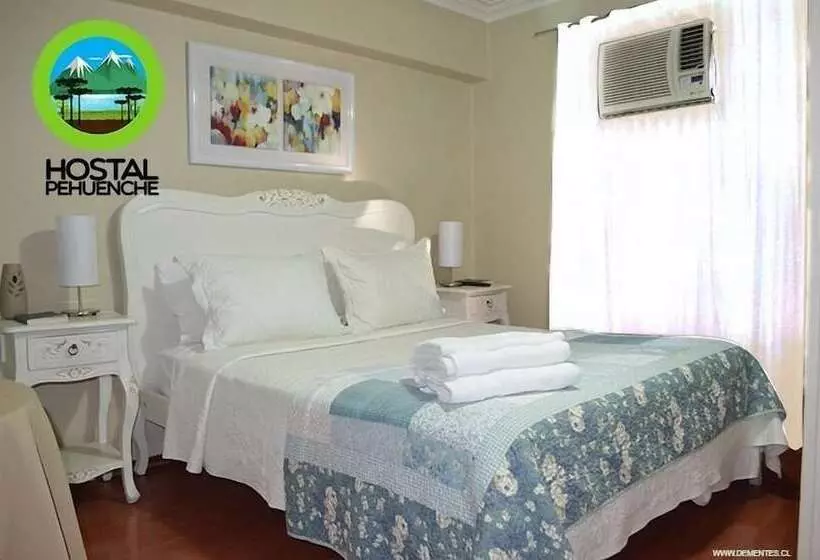 هتل Hostal Pehuenche