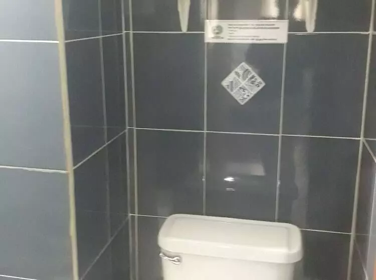 هتل Hostal Pehuenche