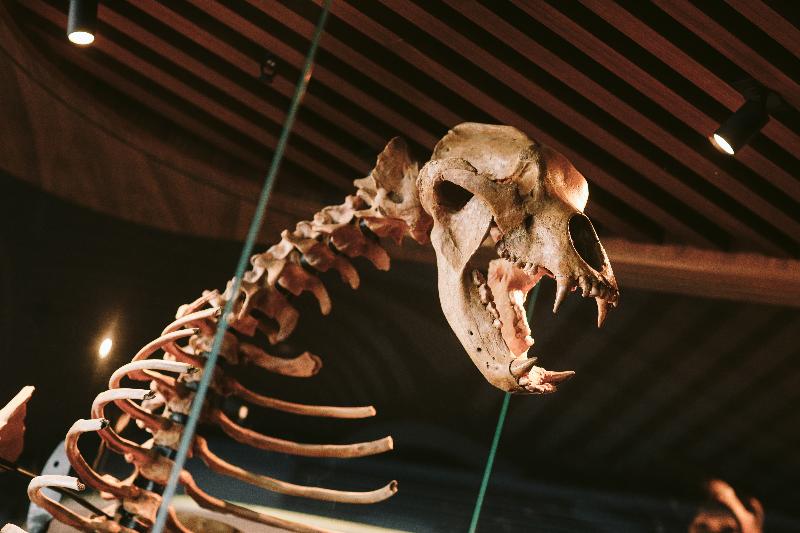 בית מלון כפרי Macq 01