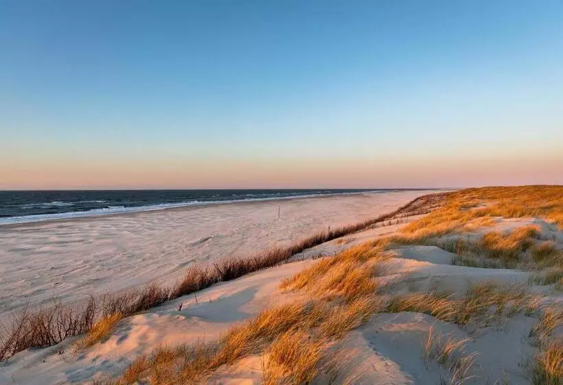 Hotelli Stranddistel