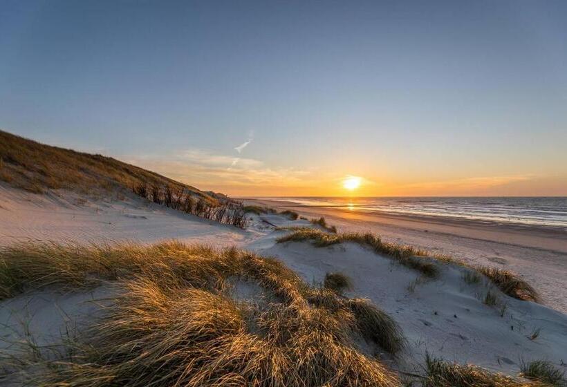 ホテル Stranddistel