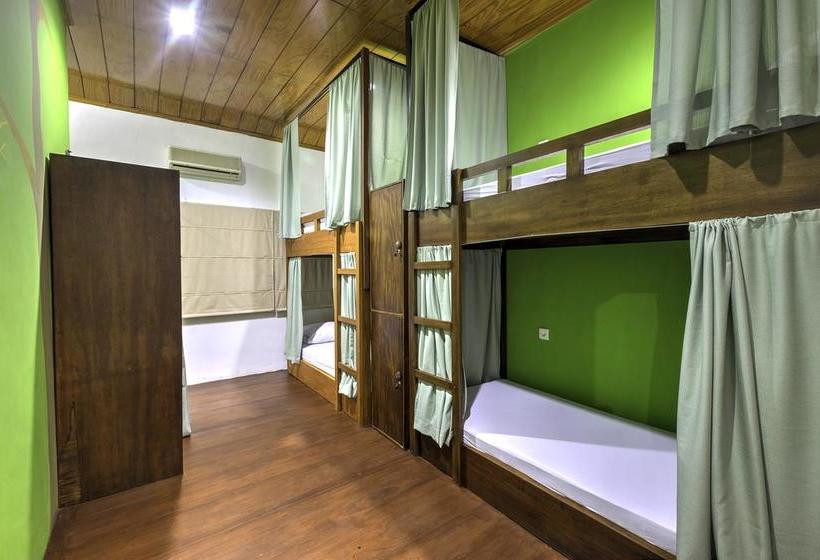 Riverside Hostel Padang