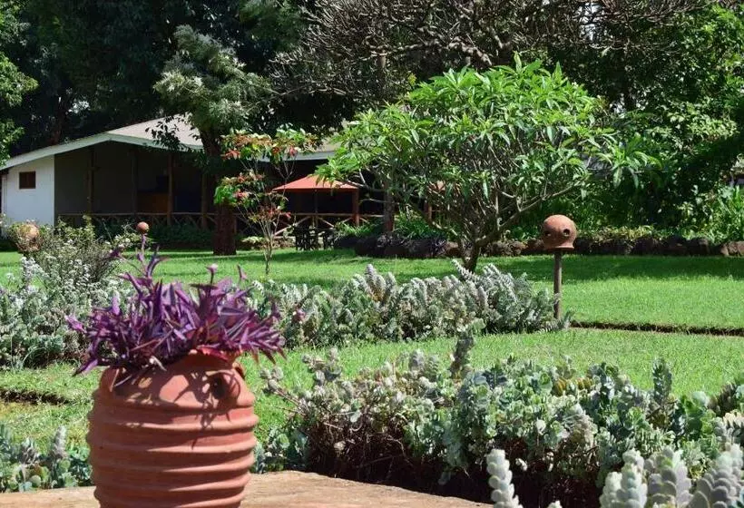 هتل Ameg Lodge Kilimanjaro