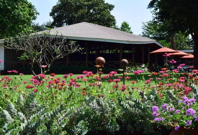 هتل Ameg Lodge Kilimanjaro