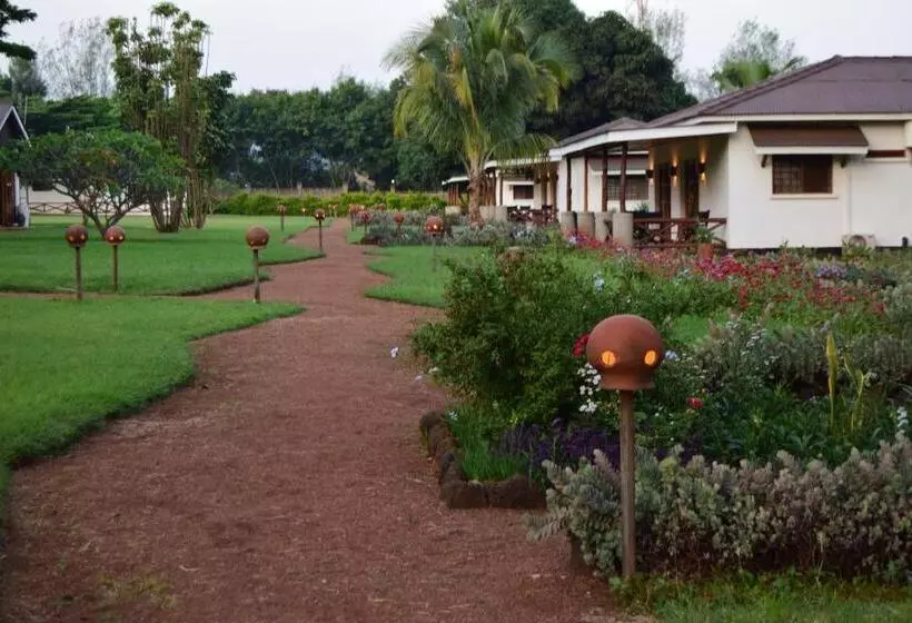 هتل Ameg Lodge Kilimanjaro
